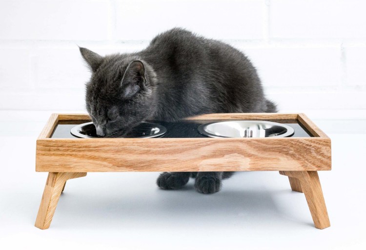 Тройные миски для котят
