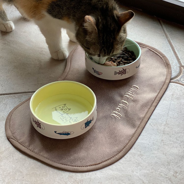 Автопоилка для кошек Мейн кунов