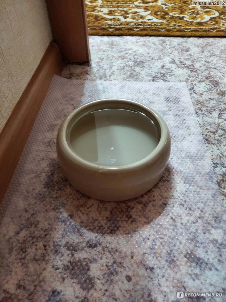 Мейн кун моется