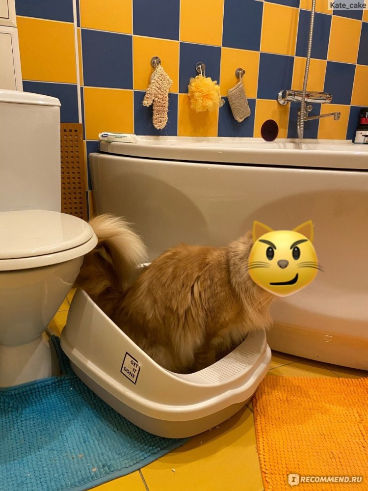 Миски для котов на подставке