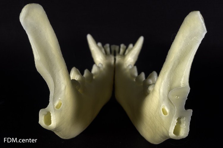 Зубная система немецкой овчарки