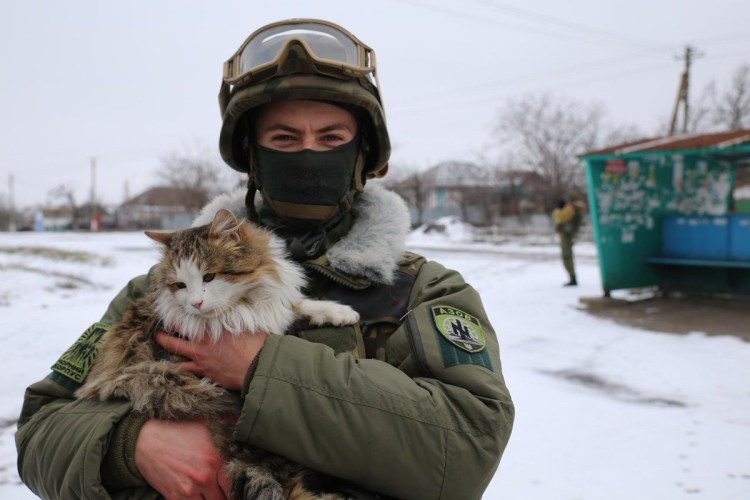 Кот спецназ