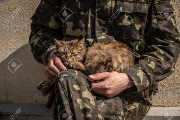 Военный с котенком