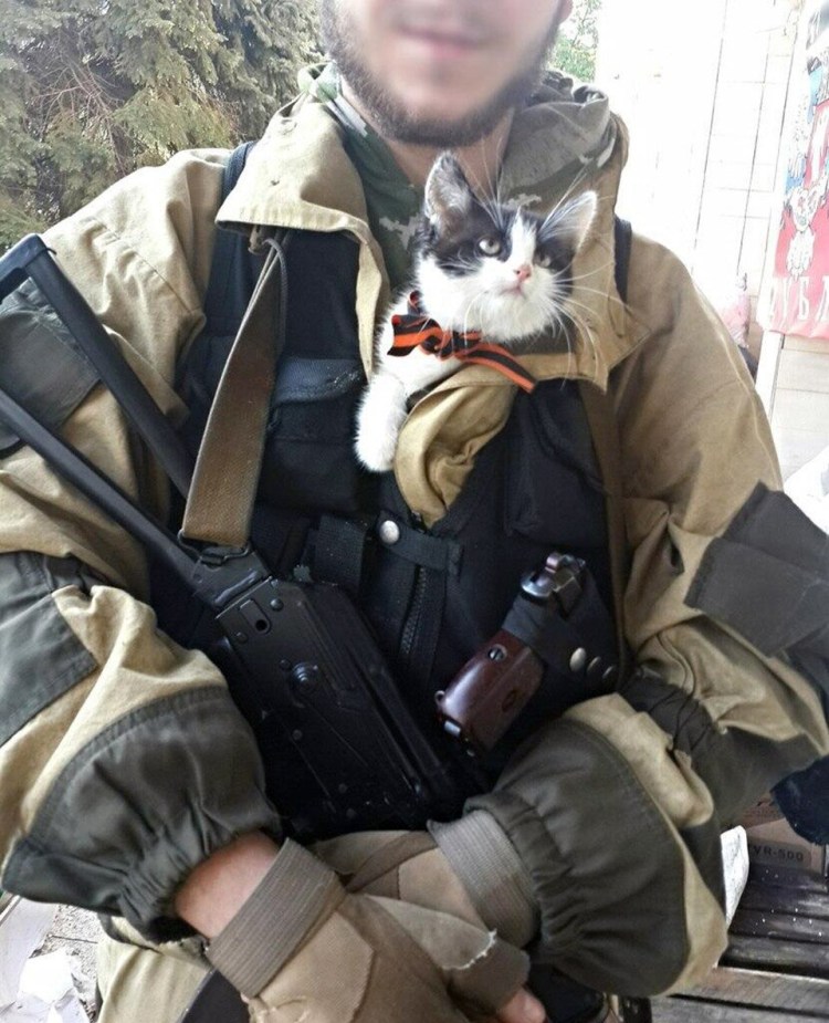 Кот в форме спецназа