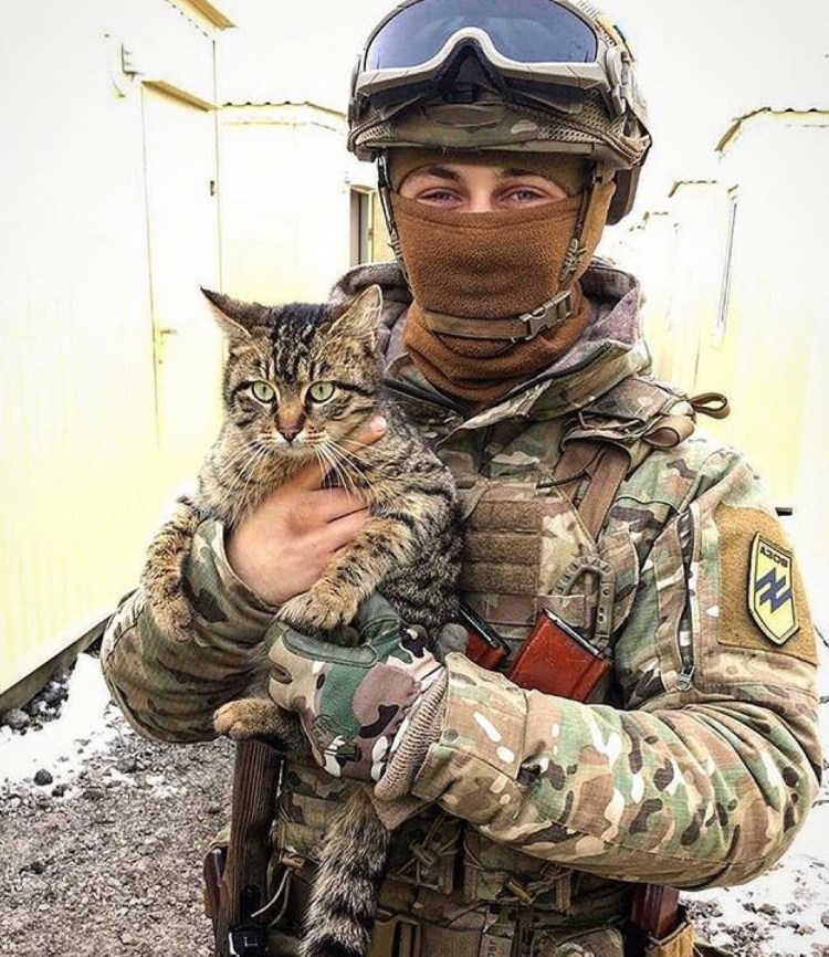 Военная кошка