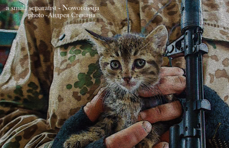 Армия котов