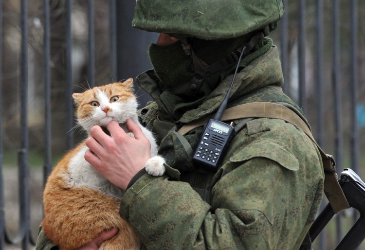 Русский солдат с котом