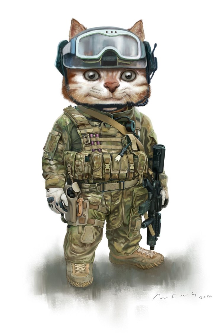 Тактическая кошка