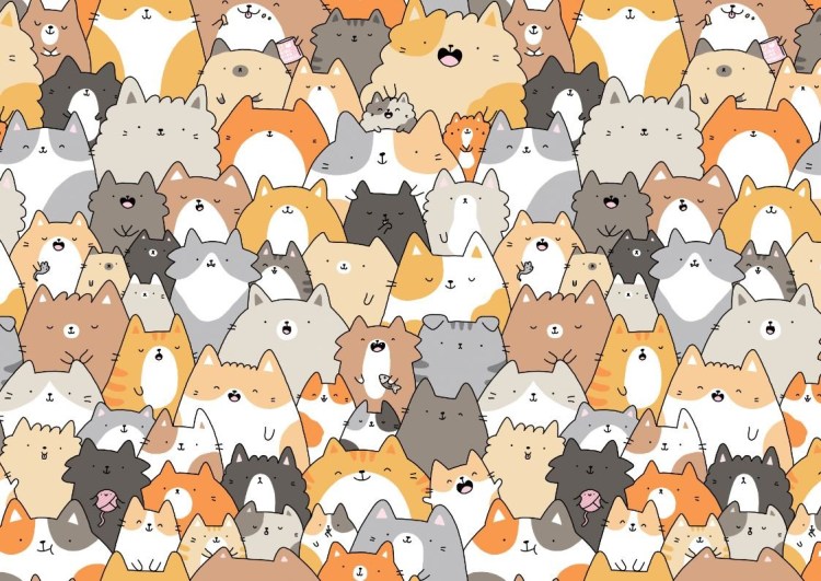 Очень много котиков
