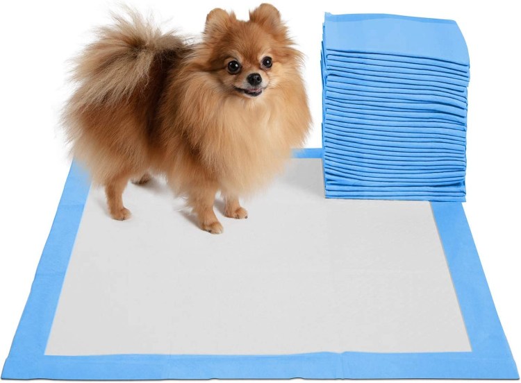 Одноразовый туалет для собак