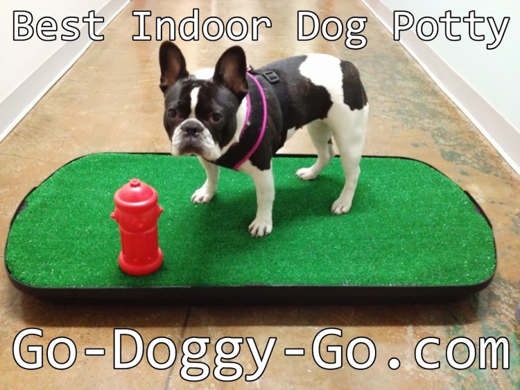 Пеленки для собак впитывающие Neo Loo Life Neo Sheet DX 60х45 см