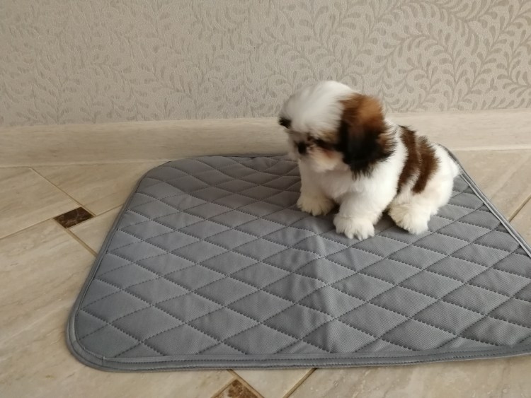 Туалет для собак Потти Пэтч