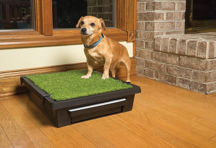 Туалет Puppy Potty Pad