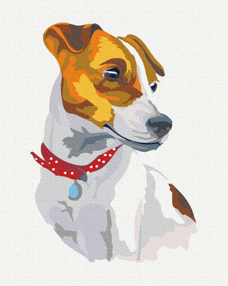 Джек Рассел картинки раскраски