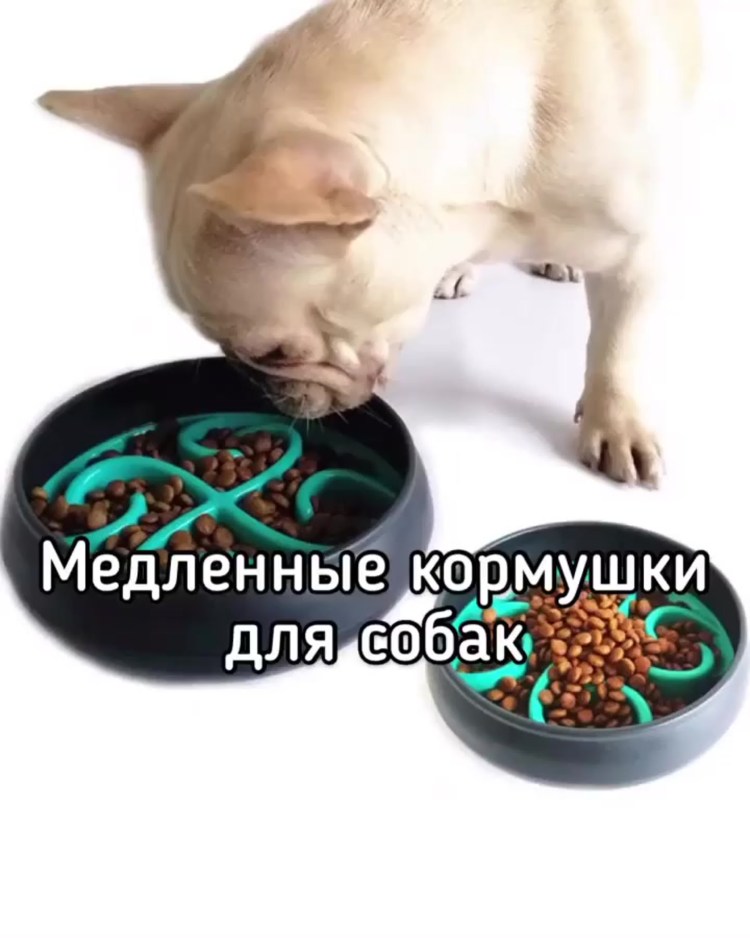 Slow Feeder для собак кормушка