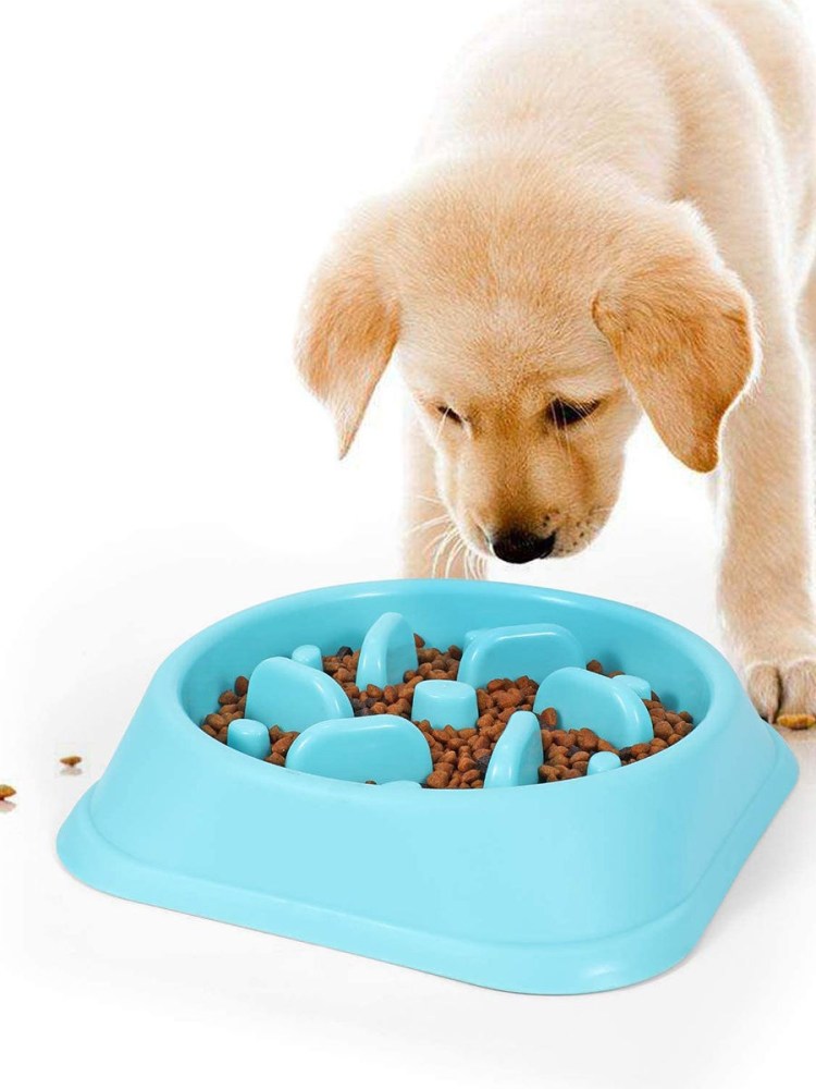 Миска для собак Northmate(r) Green бирюзовый, 400*290*100мм