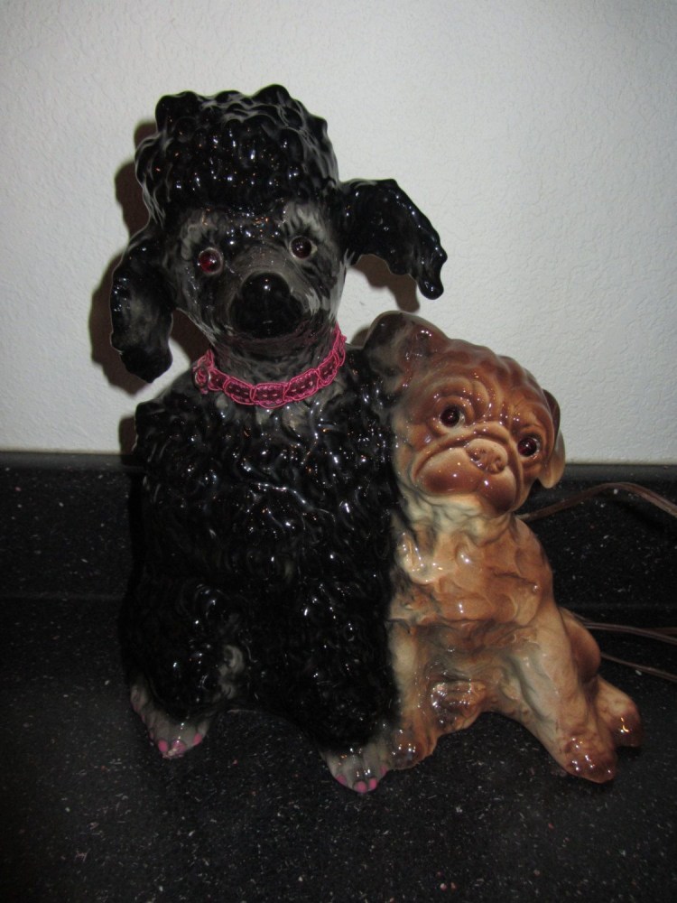 Метис МОПСА И пуделя