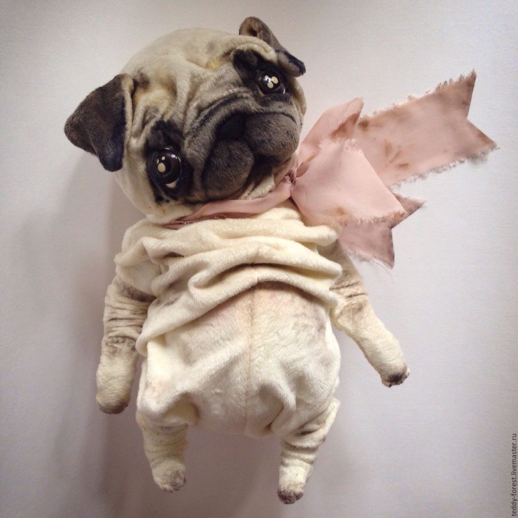 Метис МОПСА И Кинг Чарльз спаниеля