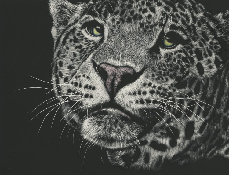 Леопард черно белый