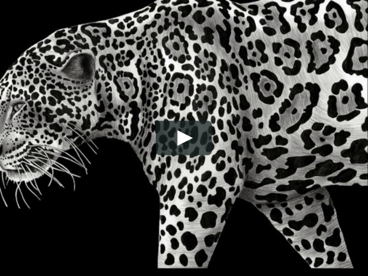 Постер а3 Ягуар черно-белый