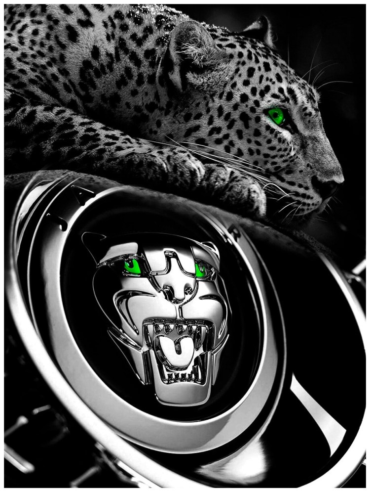 Ягуар на черном фоне