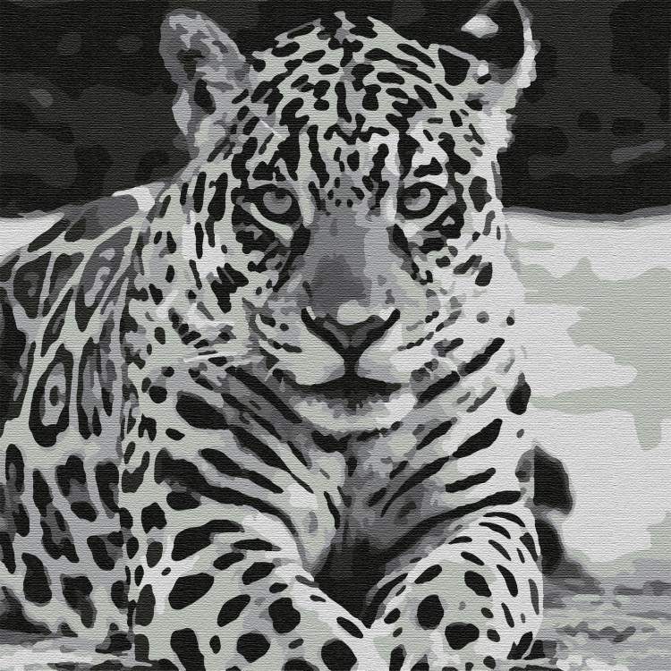 Леопард раскраска для детей