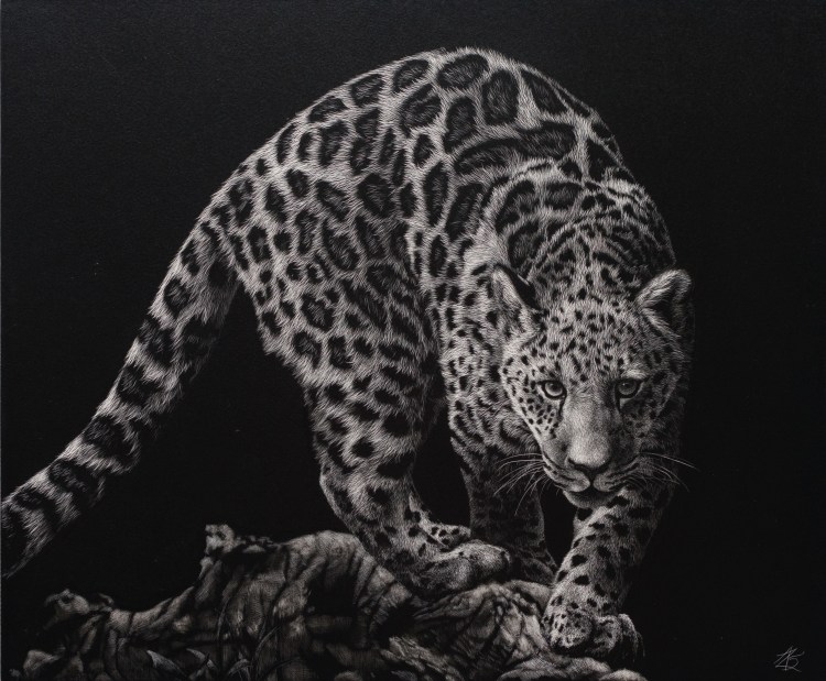 Леопард морда