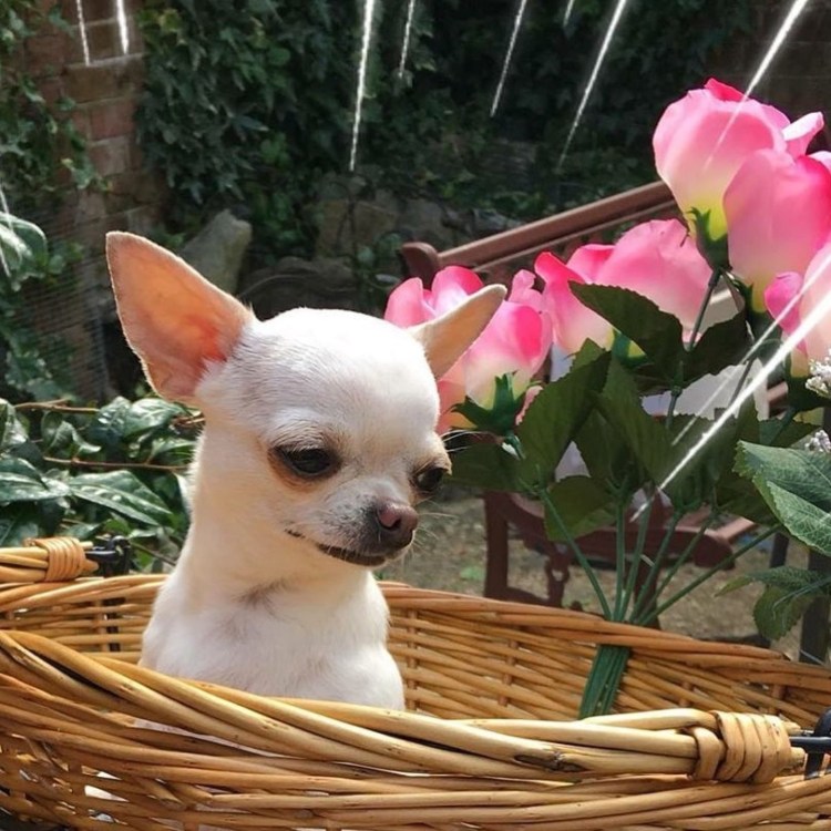 Обними меня Мем