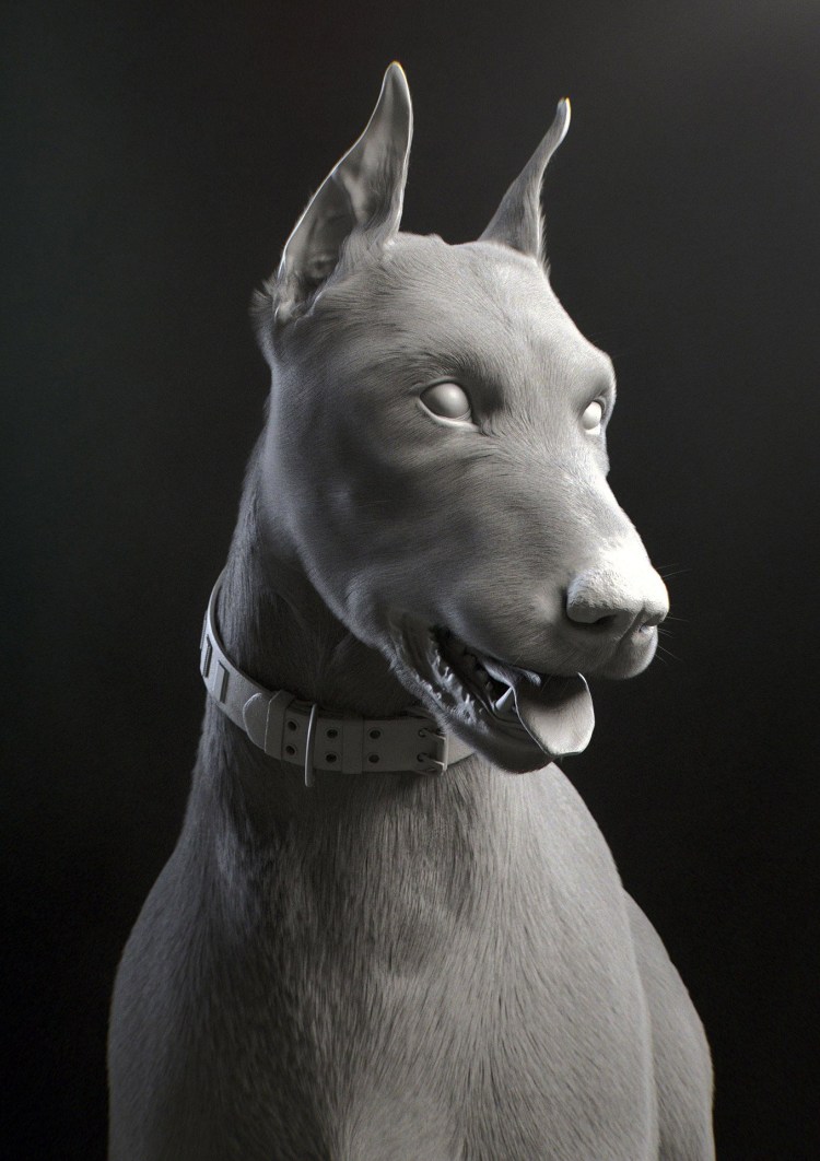 Доберман-пинчер шоколадный