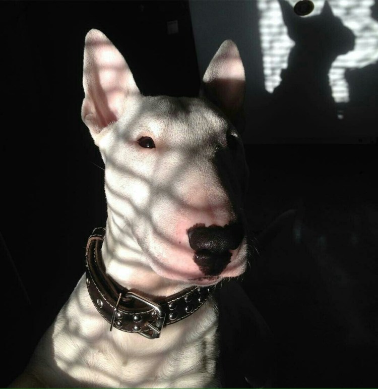 Бакшина Нина Новосибирск