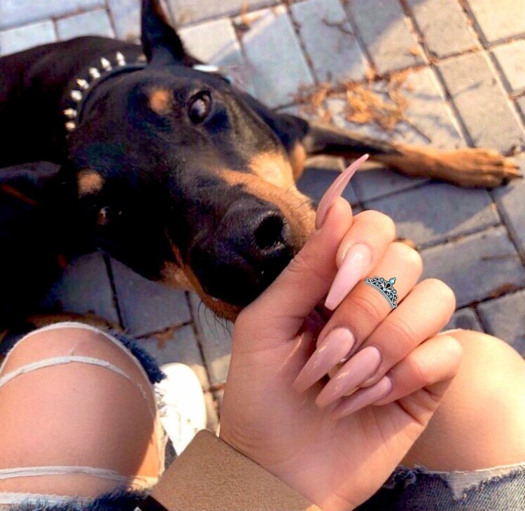 Черных страшных собак убийц