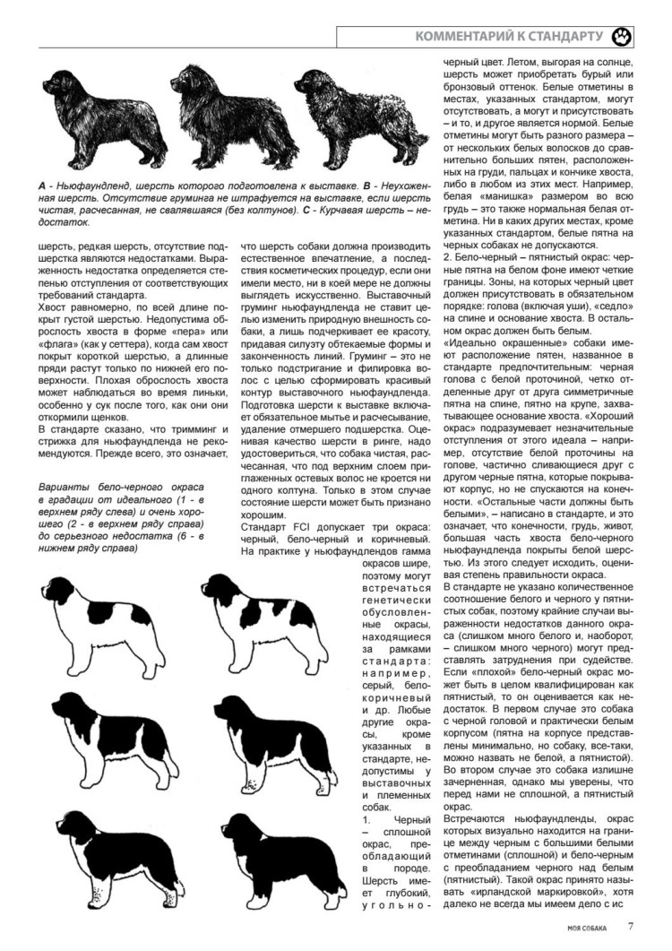 Разлизанная гранулема