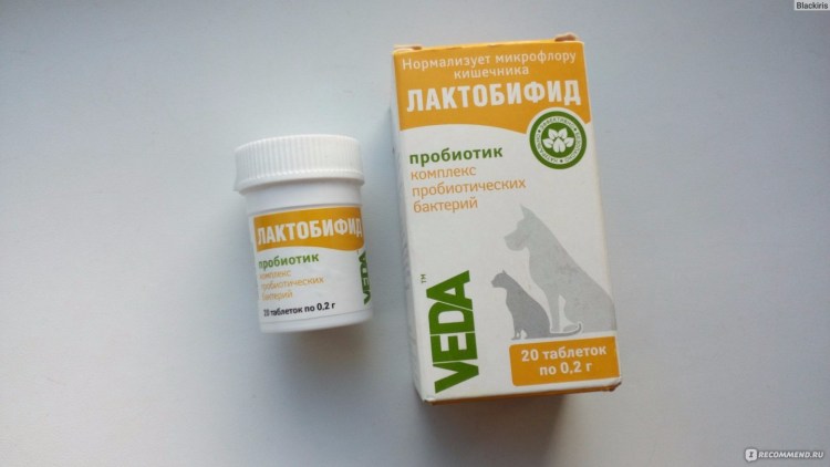 Рацион собаки при диарее