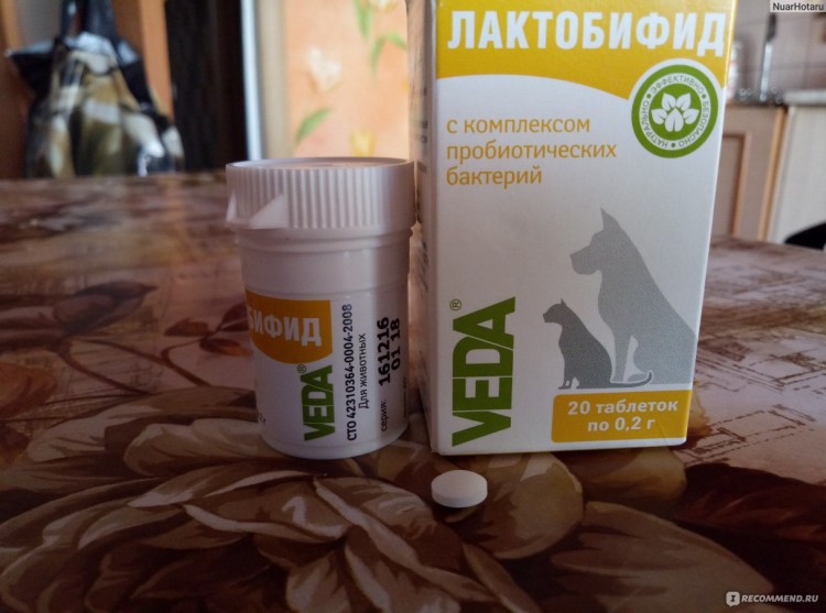 Бифидум баг фл. 12мл