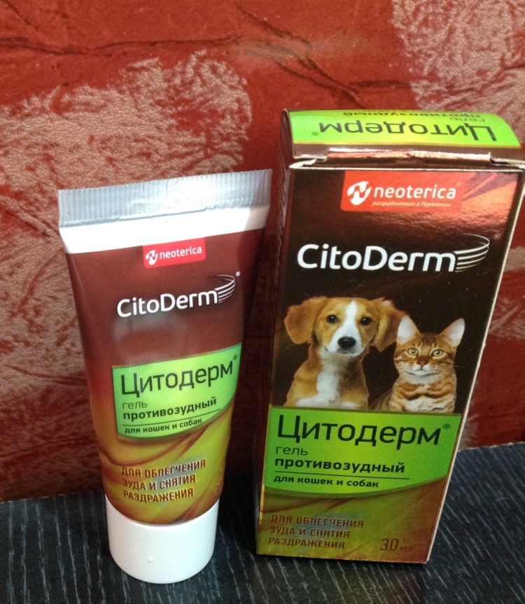 Бифидумбактерин бифидум 5 доз