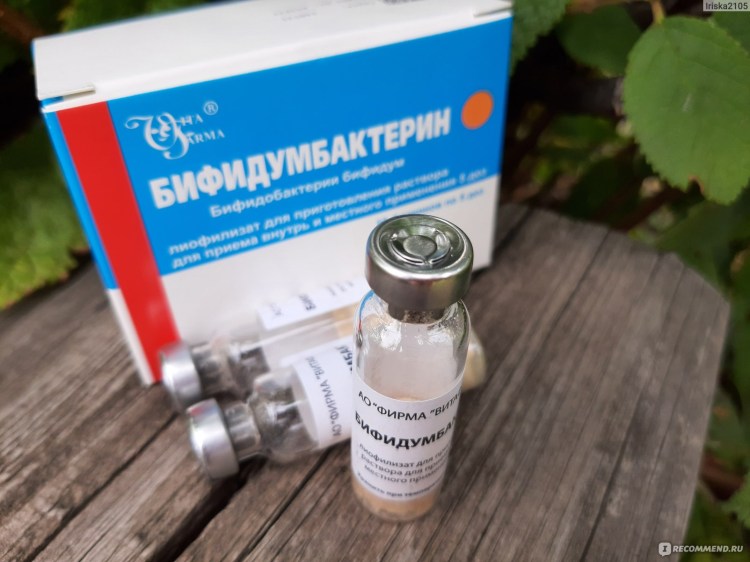 Бактерии для собак для кишечника