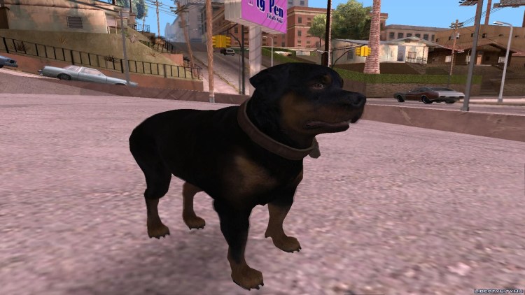 ГТА 5 Франклин и Чоп на обои