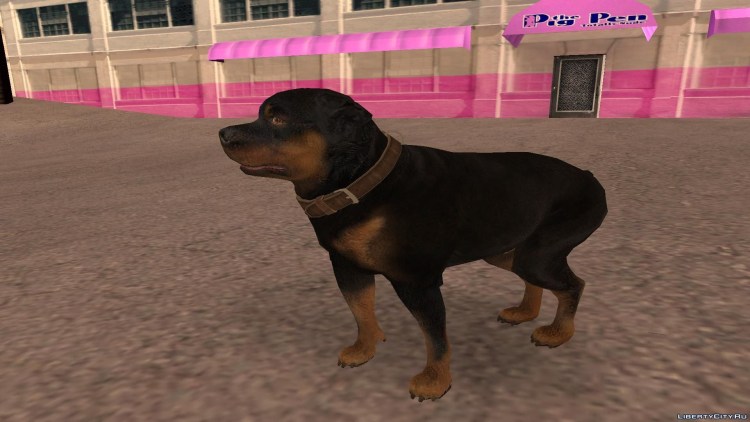 Собака Чоп из GTA 5