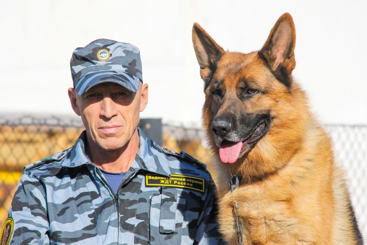 Ротвейлер улыбается