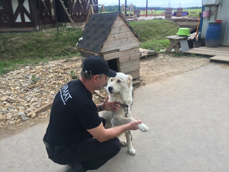 Охрана коттеджного поселка