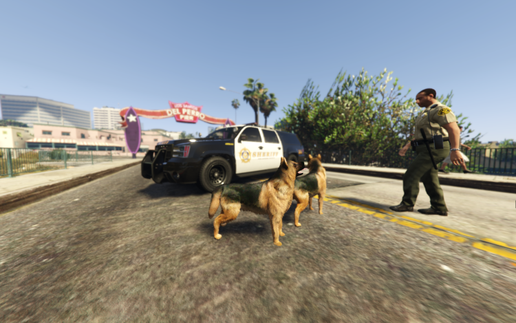 Grand Theft auto v Франклин с собакой