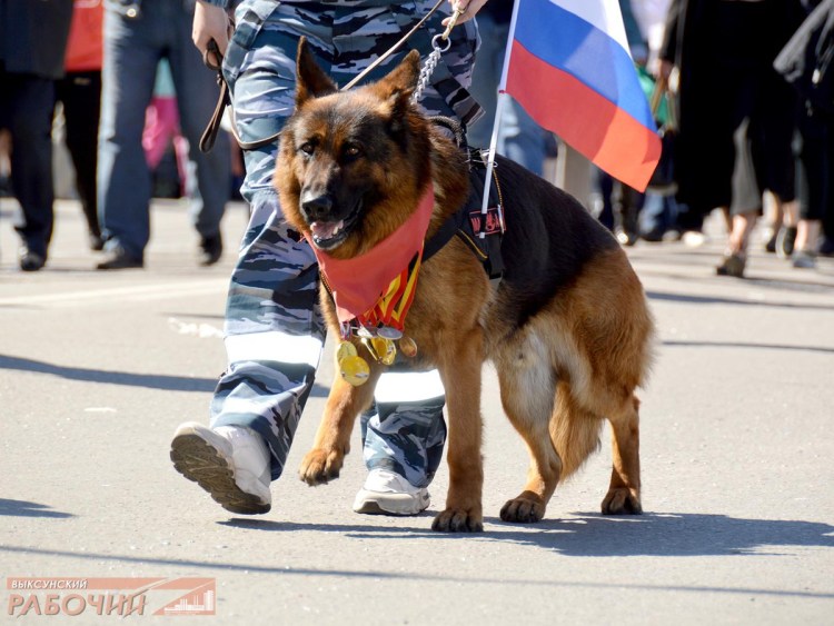 Охрана ЖДТ России