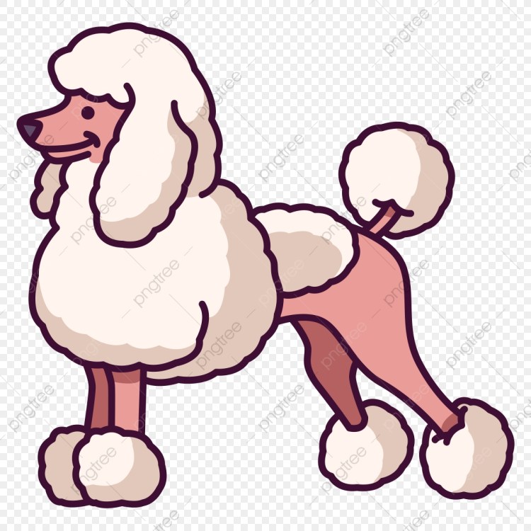 Пудель мультяшка