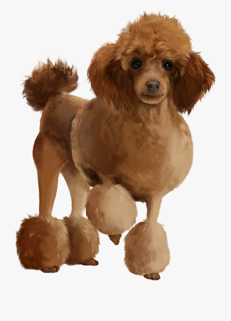 Мультяшные Пудели