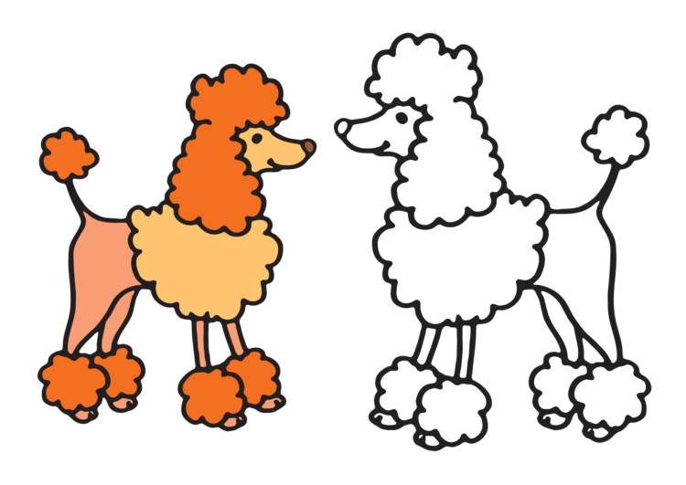 Пудель раскраска для малышей