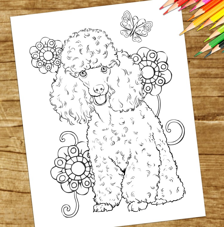 Раскраска пудель Артемон