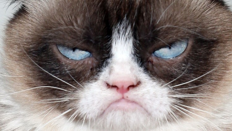 Недовольный Мем