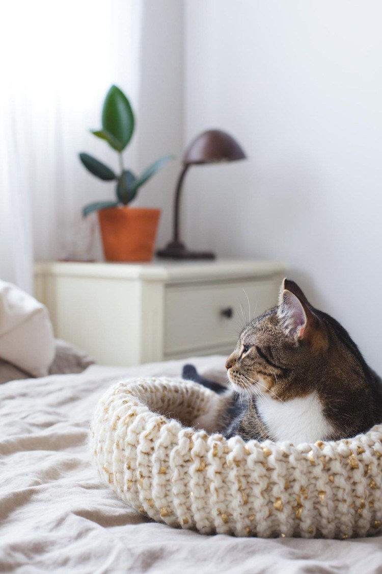 Лежанка рыба крючком