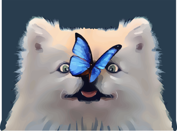 Кот с бабочкой