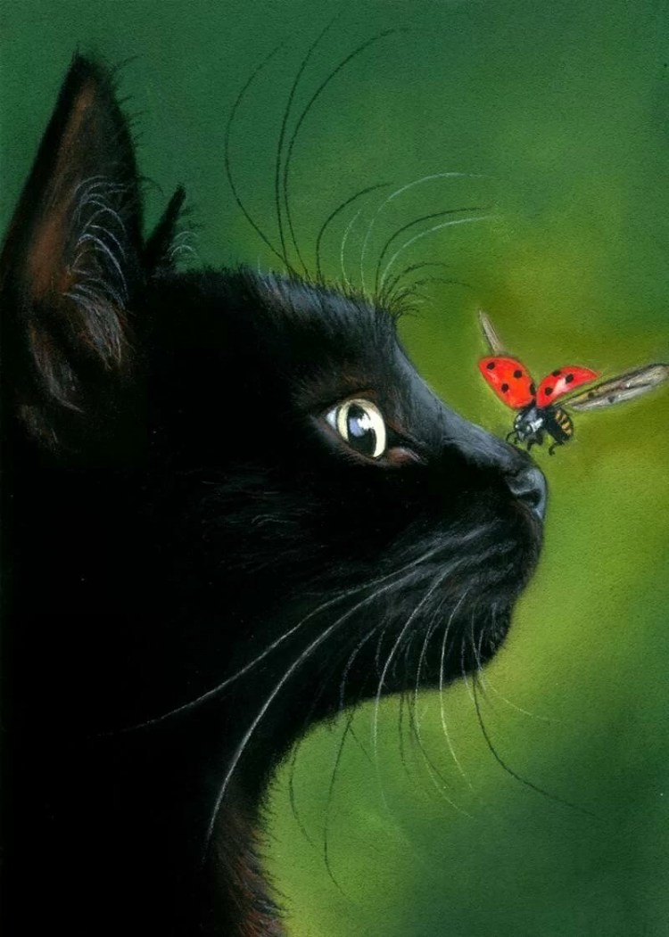 Кот на природе